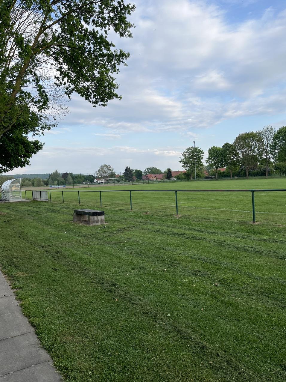 Weitl&auml;ufiges Sportfeld mit Rasen, metallenen Z&auml;unen und B&auml;umen unter einem bew&ouml;lkten Himmel.